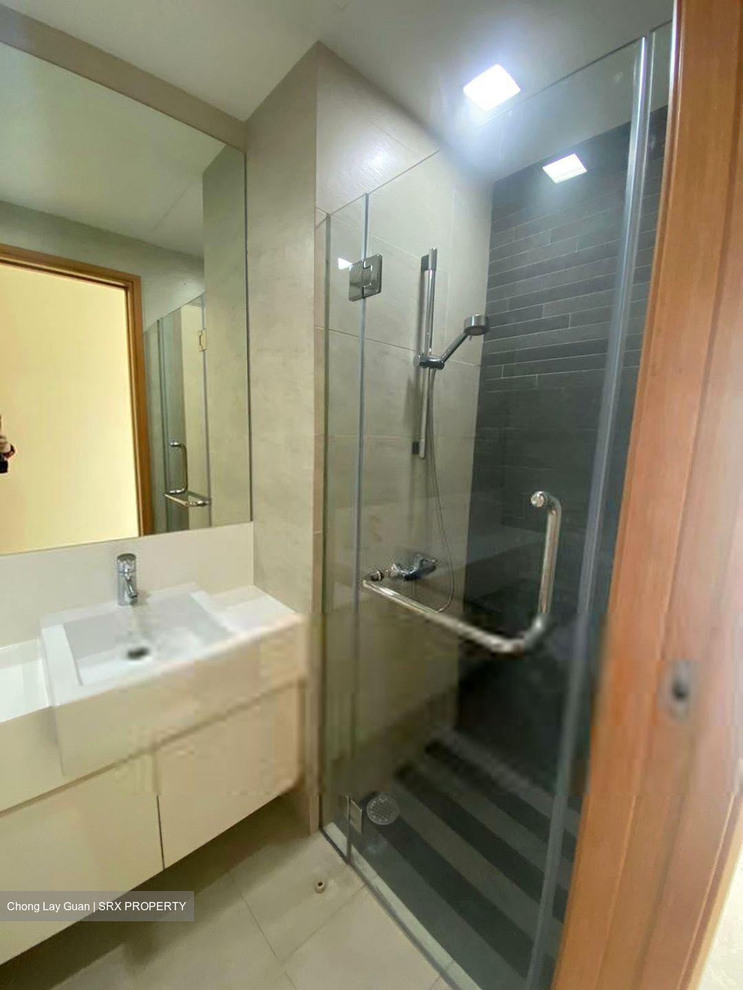 Park Infinia At Wee Nam (D11), Condominium #628882511